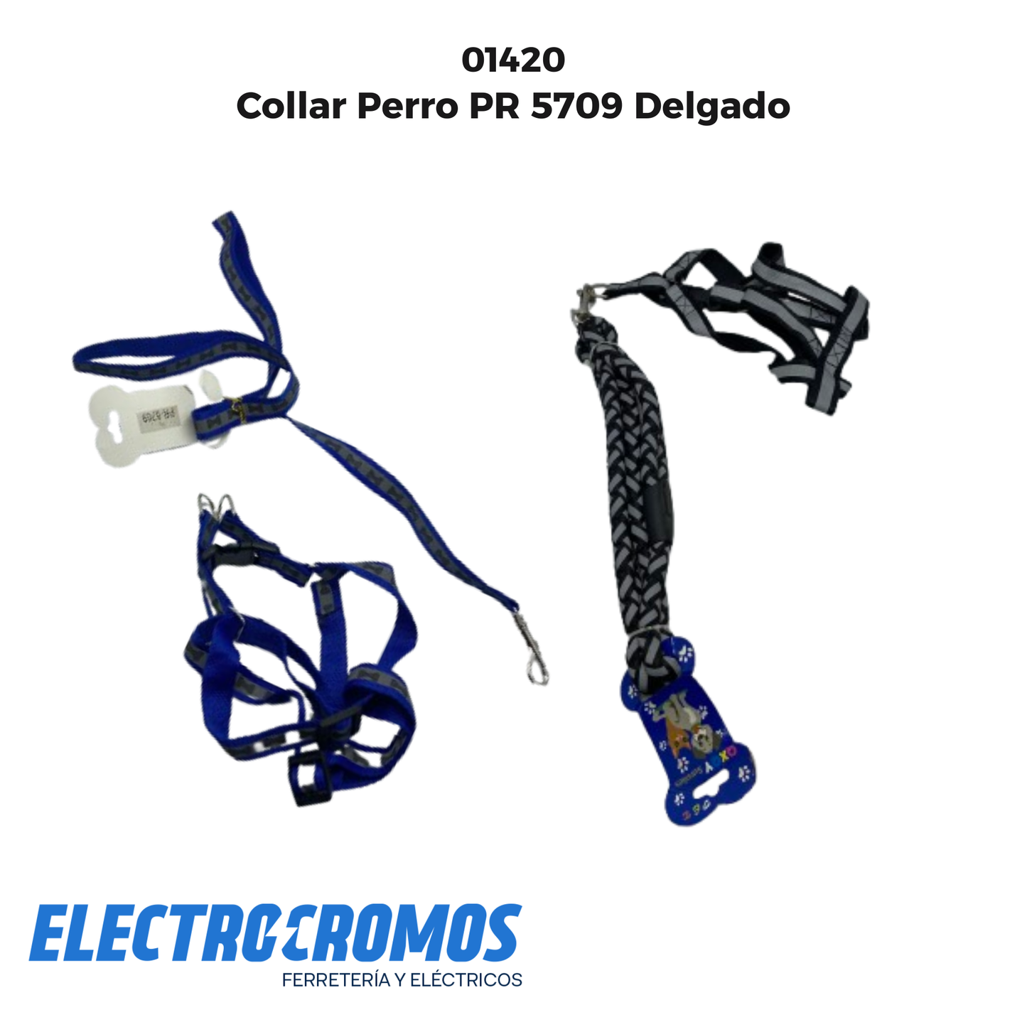 Collar Perro PR 5709 Delgado