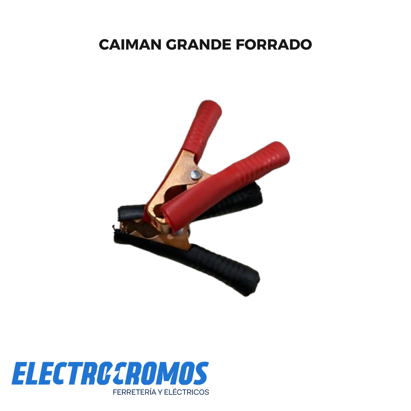 Caiman Grande Forrado 100 Amp